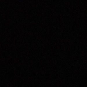 Meet your Posher, Dominique